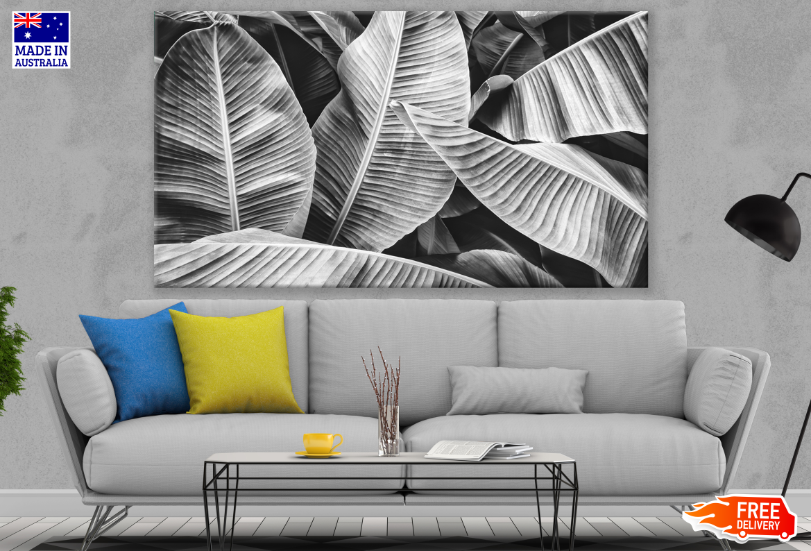 Banana Leaves B&W Photograph Print 100% Australian Made