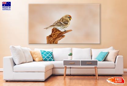 Linnet Bird On a Branch Painting Print 100% Australian Made