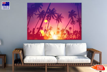 Palm Trees Sunset View Photograph Print 100% Australian Made