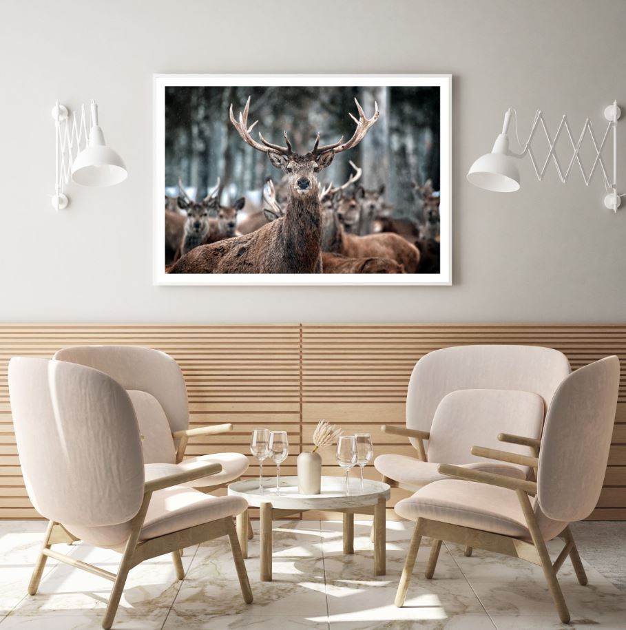Deers Portrait Photograph Home Decor Premium Quality Poster Print Choose Your Sizes