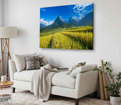 Bella Home Beautiful Rice Paddy Fields Print Canvas Ready to hang