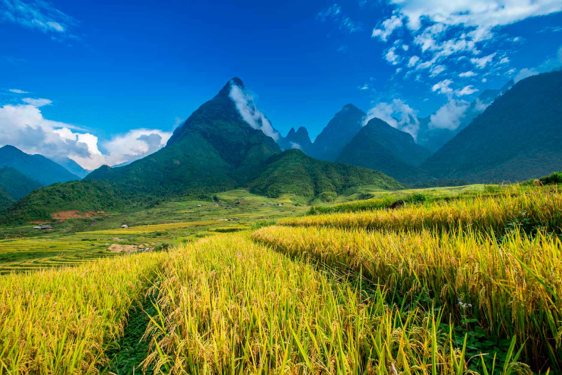 Bella Home Beautiful Rice Paddy Fields Print Canvas Ready to hang