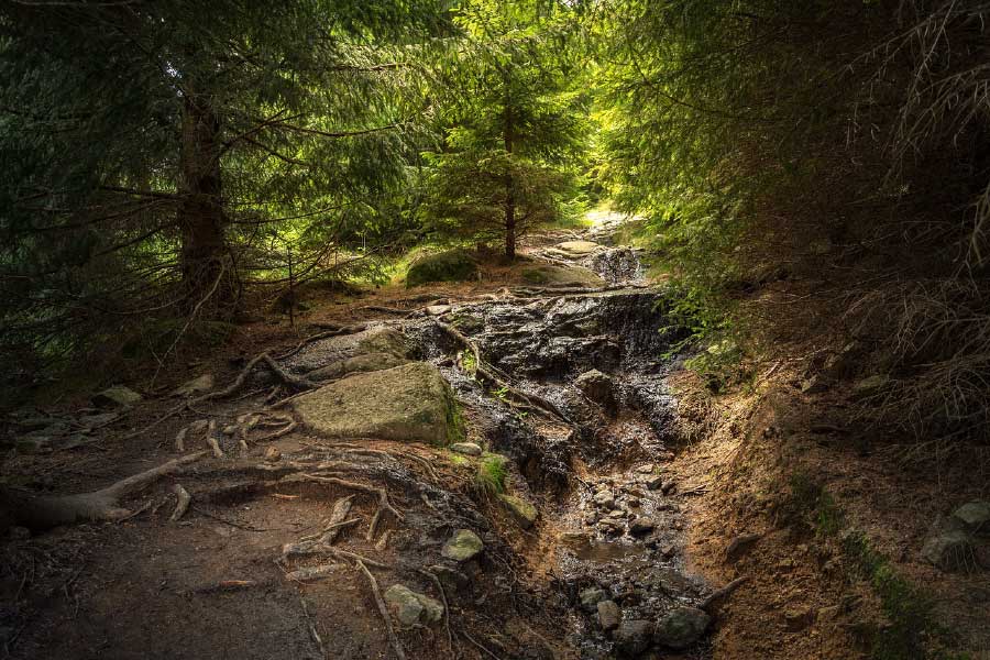 Waterfall in Forest Photograph Print 100% Australian Made