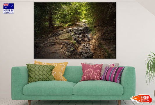 Waterfall in Forest Photograph Print 100% Australian Made