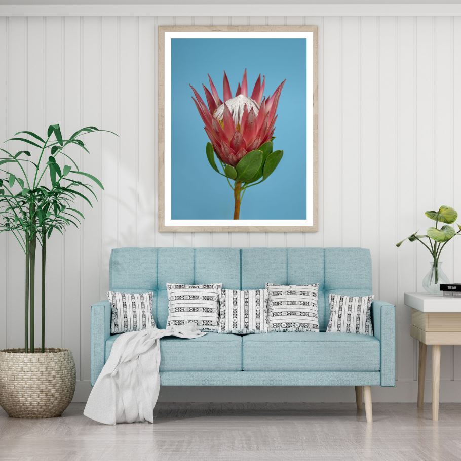 Flower Closeup Photograph Home Decor Premium Quality Poster Print Choose Your Sizes