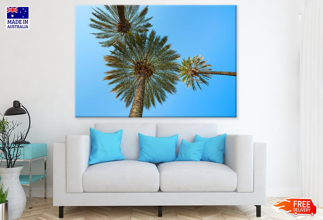 Palm Trees Closeup Photograph Print 100% Australian Made