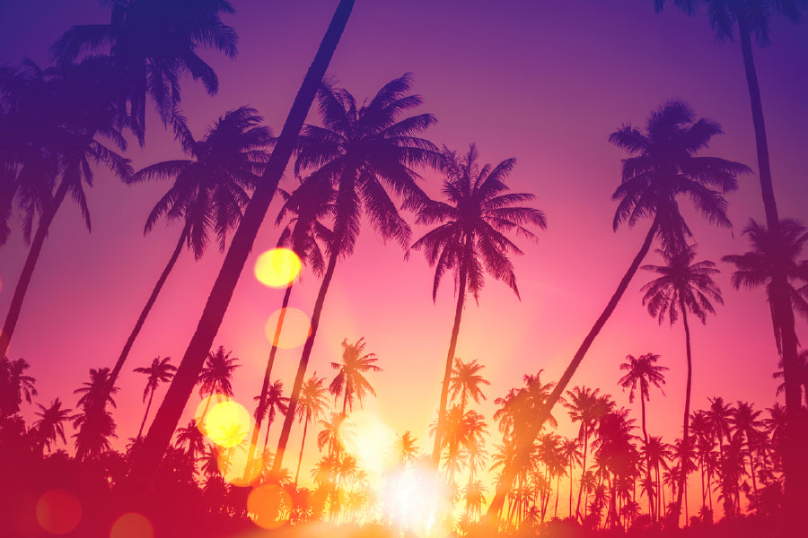 Palm Trees Sunset View Photograph Print 100% Australian Made