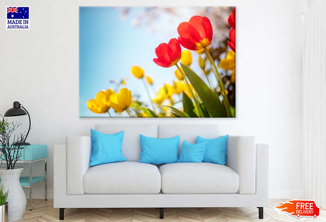 Red & Yellow Tulip Flowers View Photograph Print 100% Australian Made