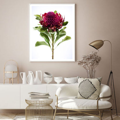 Flower Closeup Photograph Home Decor Premium Quality Poster Print Choose Your Sizes