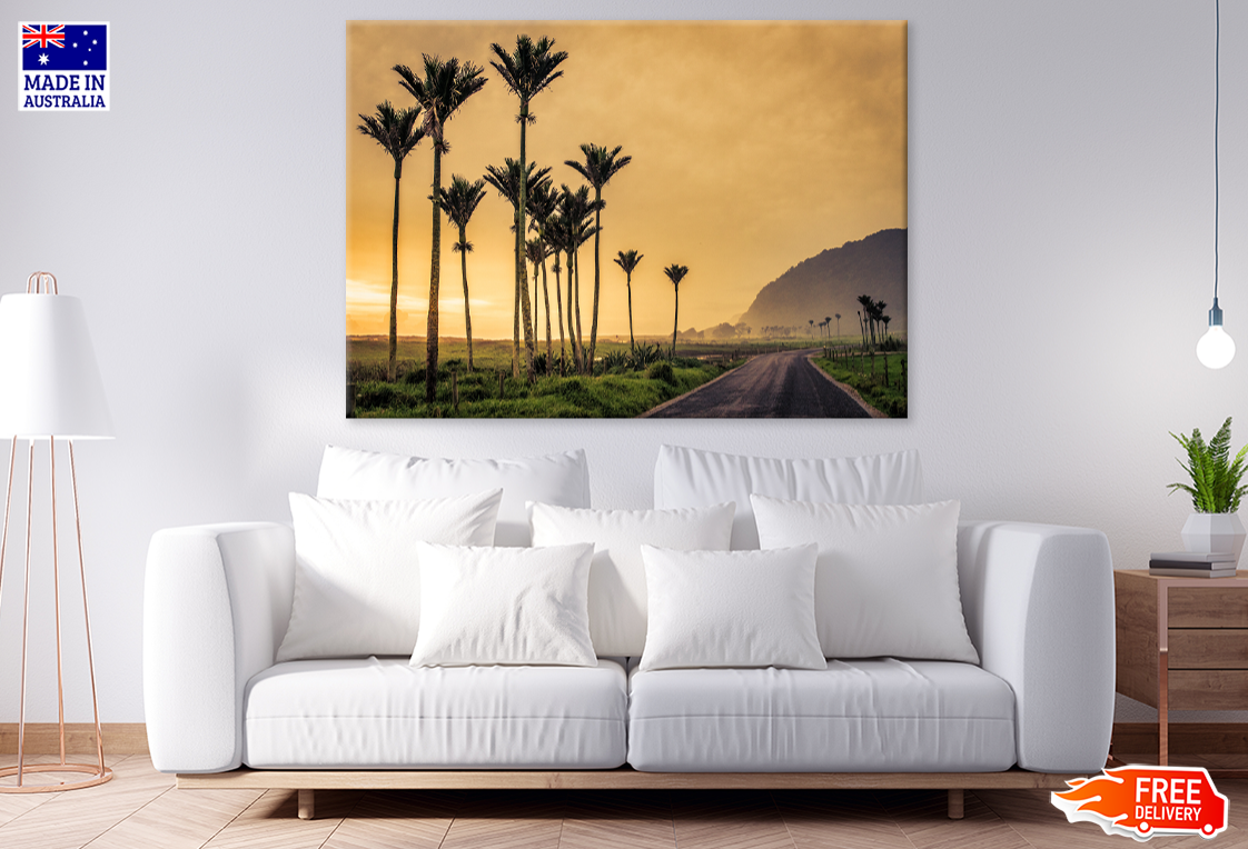 Plam Trees & Sunset Scenery Photograph Print 100% Australian Made