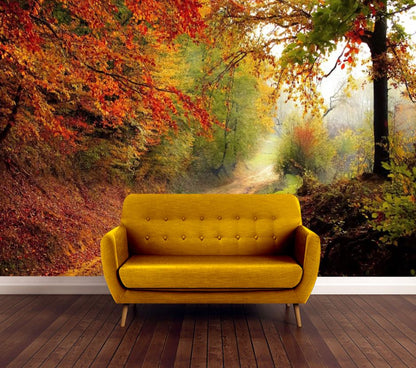 Wallpaper Murals Peel and Stick Removable Forest View High Quality