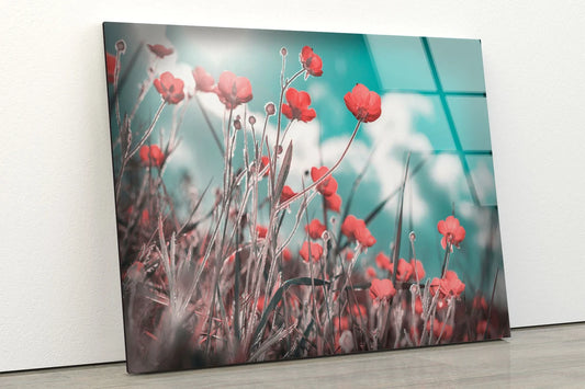 Flower Field & Sky Photograph Acrylic Glass Print Tempered Glass Wall Art 100% Made in Australia Ready to Hang