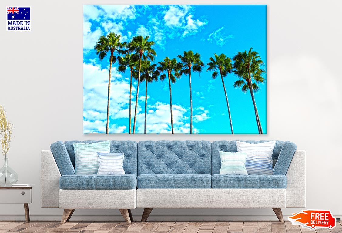 Palm Trees & Sky Photograph Print 100% Australian Made