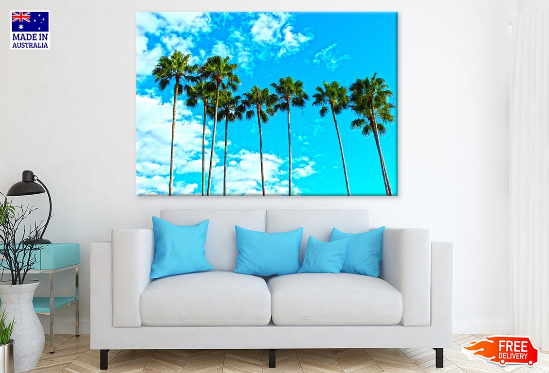 Palm Trees & Sky Photograph Print 100% Australian Made