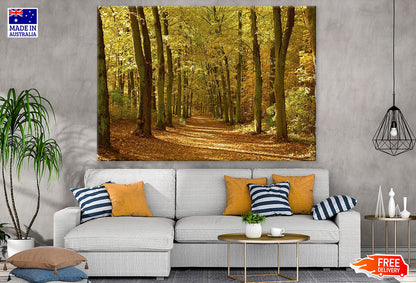 Road in Autumn Forest Photograph Print 100% Australian Made