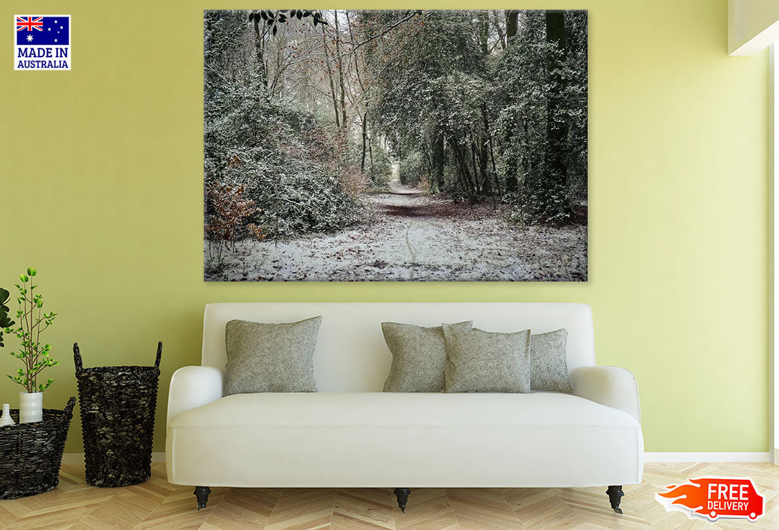 Snow Covered Forest Photograph Print 100% Australian Made