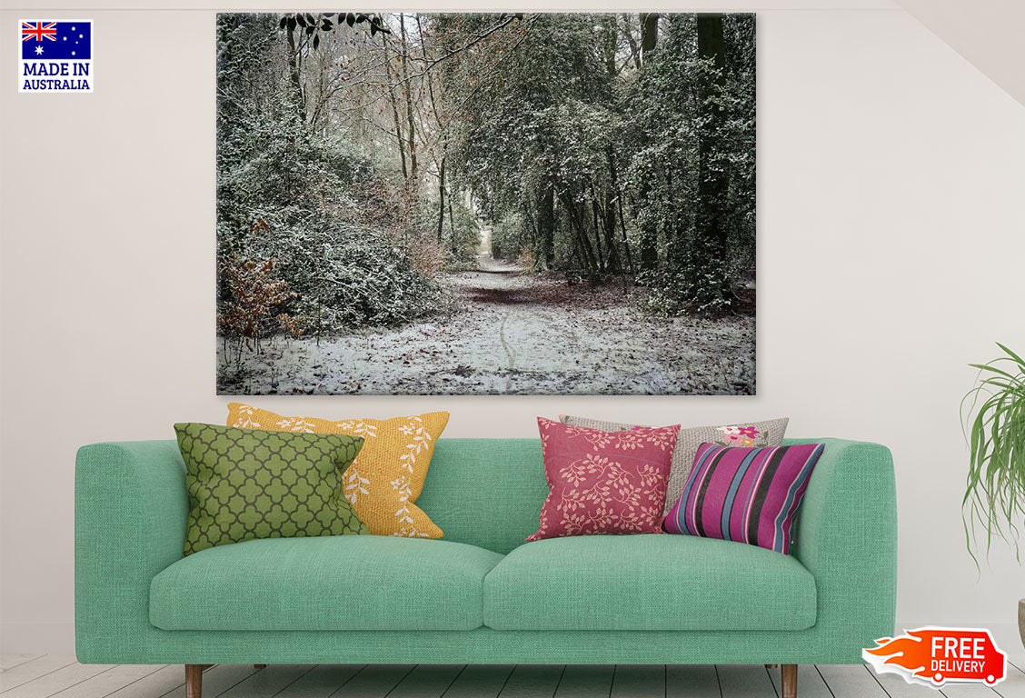 Snow Covered Forest Photograph Print 100% Australian Made