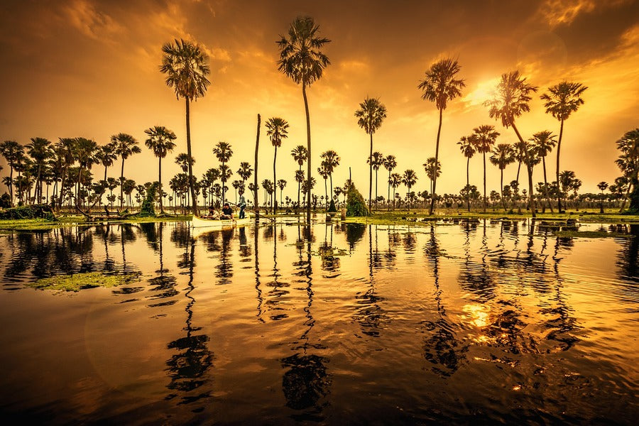 Asian Palmyra Palm Tree & Lake Sunset Photograph Print 100% Australian Made