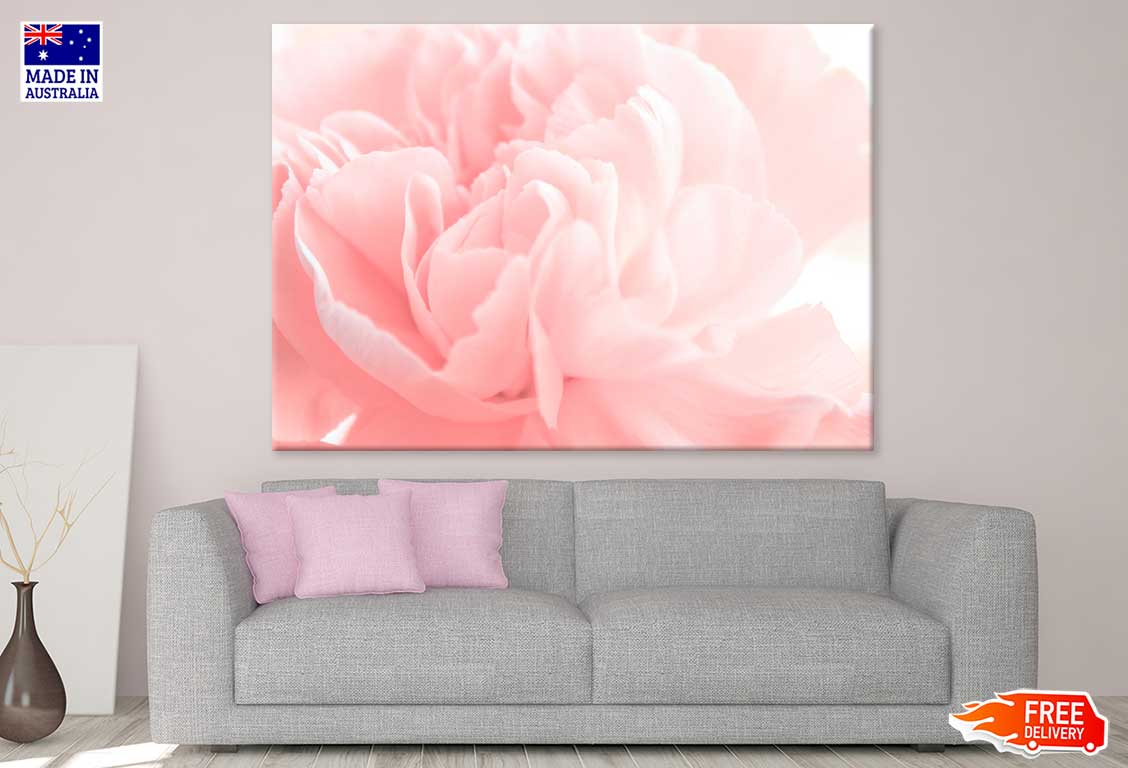 Pink Peony Flower Closeup View Photograph Print 100% Australian Made