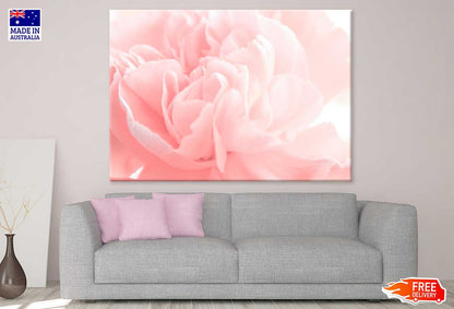Pink Peony Flower Closeup View Photograph Print 100% Australian Made
