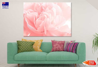 Pink Peony Flower Closeup View Photograph Print 100% Australian Made