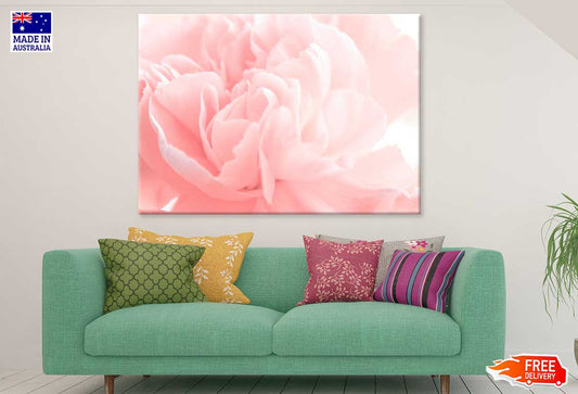 Pink Peony Flower Closeup View Photograph Print 100% Australian Made
