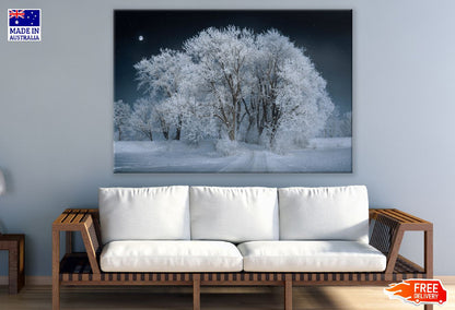 Snow Covered Trees Photograph Print 100% Australian Made