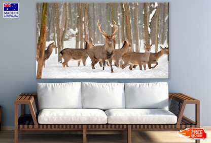 Deer Herd Walking On Snow Print 100% Australian Made