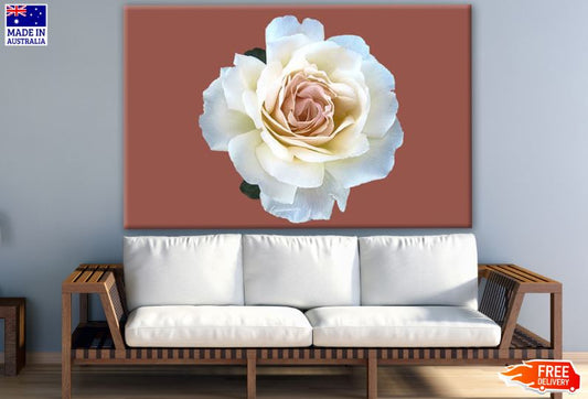 White Flower Closeup Photograph Print 100% Australian Made