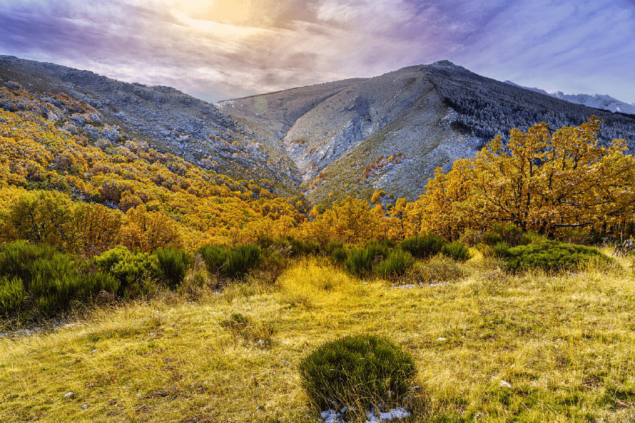 Autumn Trees & Mountains Photograph Print 100% Australian Made