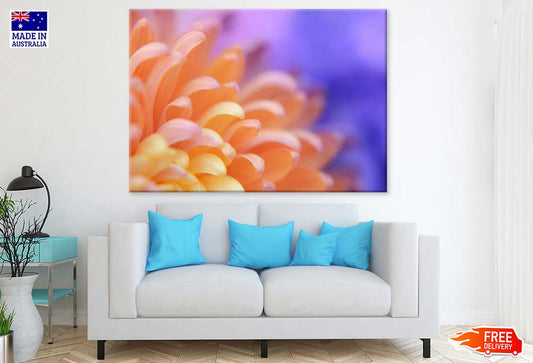 Orange Dahlia Flower Petals Macro Photograph Print 100% Australian Made