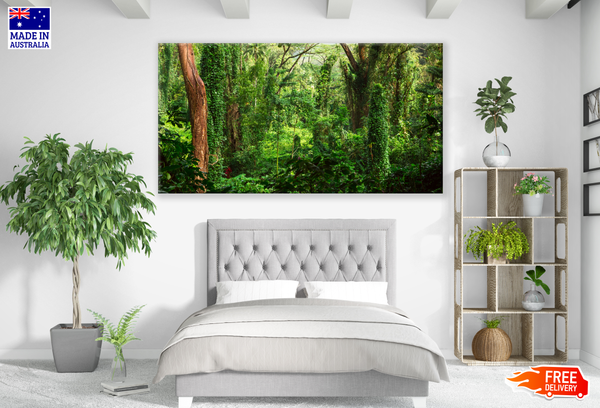 Stunning Forest Photograph Print 100% Australian Made