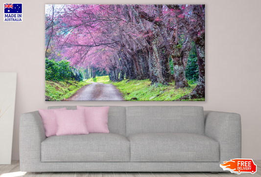 Road & Blossom Trees Photograph Print 100% Australian Made