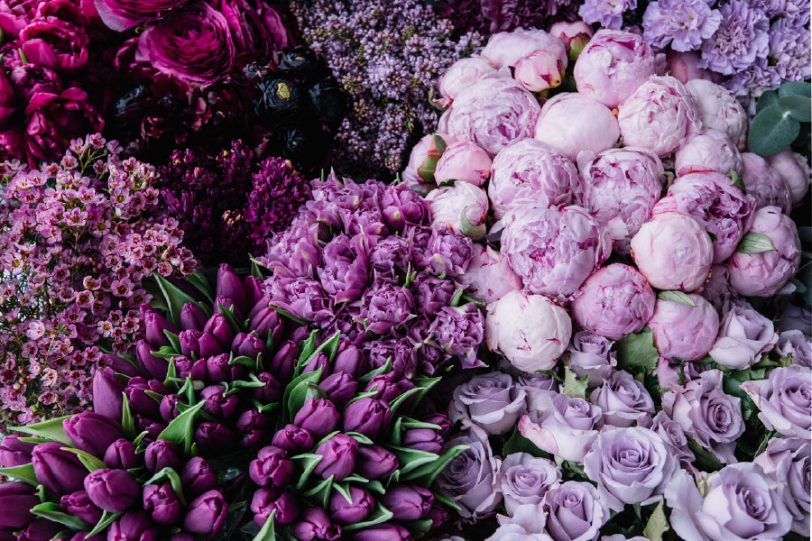 Purple Flowers View Photograph Print 100% Australian Made