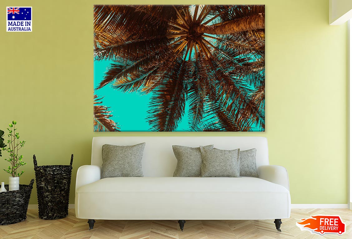 Palm Tree Closeup Photograph Print 100% Australian Made