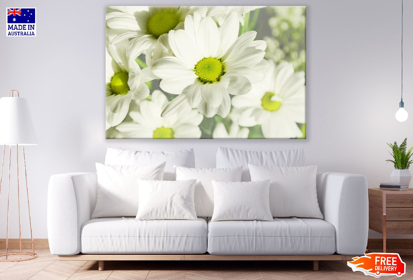White chrysanthemum Flowers Photograph Print 100% Australian Made