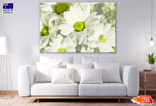 White chrysanthemum Flowers Photograph Print 100% Australian Made
