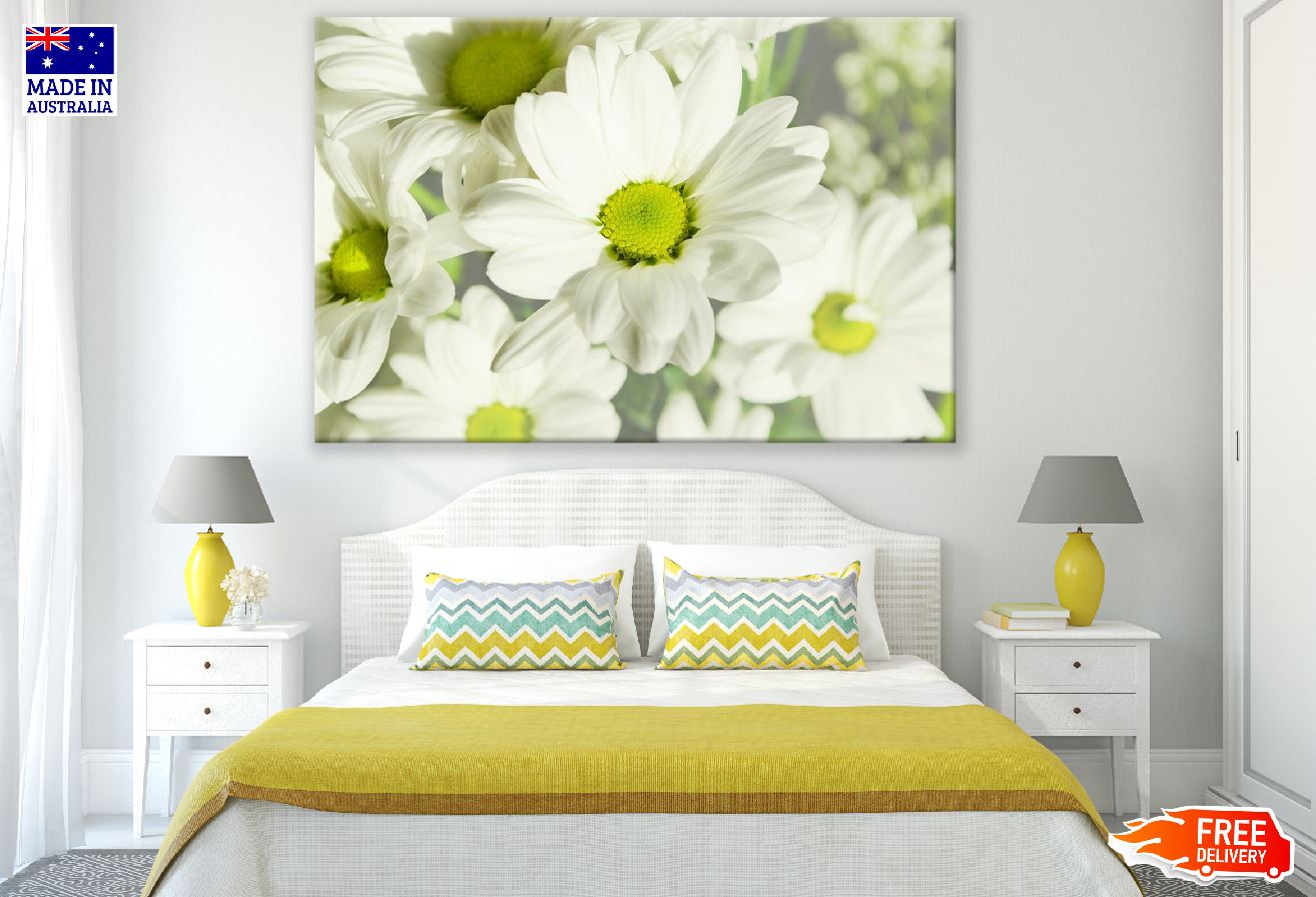 White chrysanthemum Flowers Photograph Print 100% Australian Made