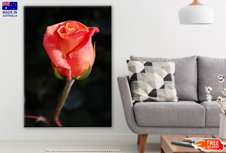 Flower Closeup Photograph Print 100% Australian Made