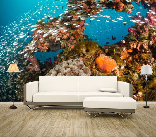 Wallpaper Murals Peel and Stick Removable Photograph Underwater Fish Photograph High Quality