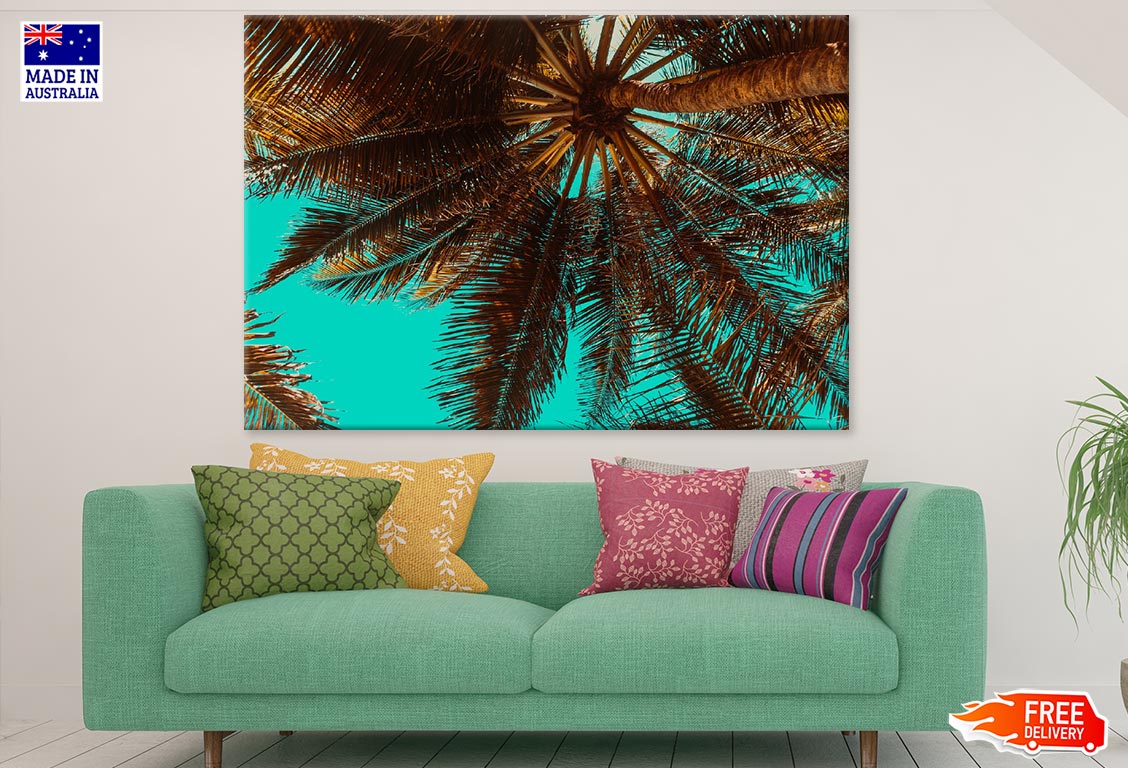 Palm Tree Closeup Photograph Print 100% Australian Made