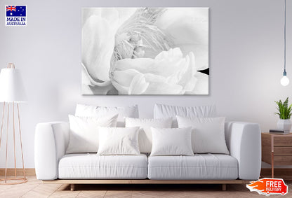 Peony Blossom Flower B&W Macro Photograph Print 100% Australian Made