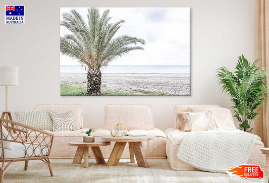 Palm Tree Near Beach View Print 100% Australian Made
