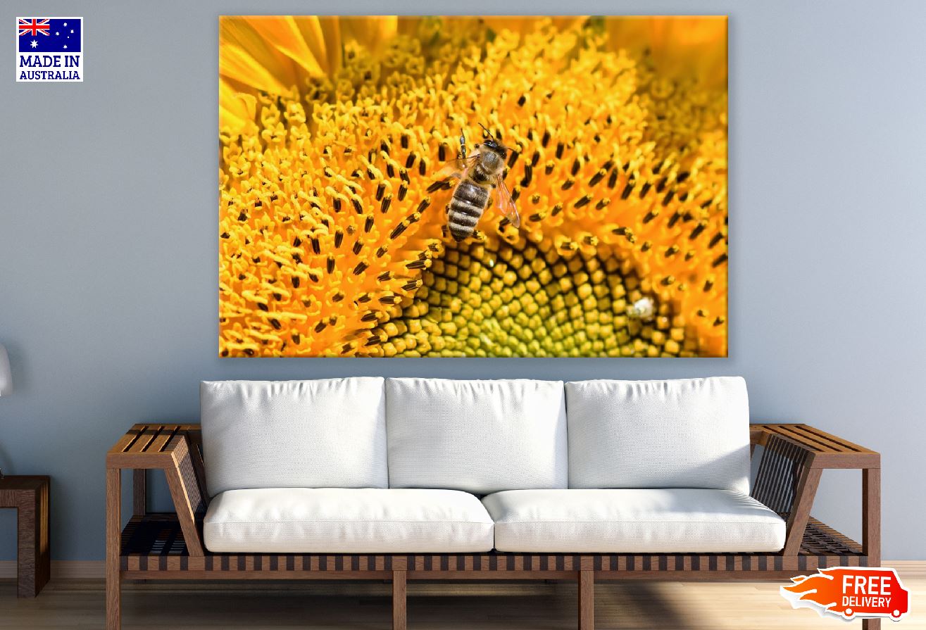 Sunflower & Bee With Macro Photograph Print 100% Australian Made