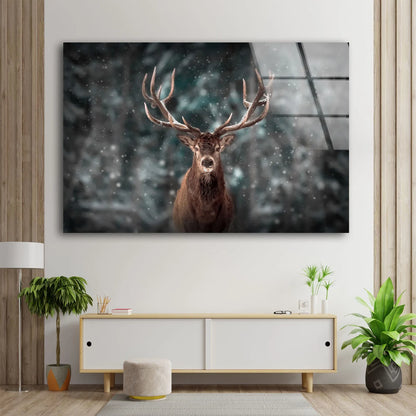 Deer Closeup Photograph Acrylic Glass Print Tempered Glass Wall Art 100% Made in Australia Ready to Hang