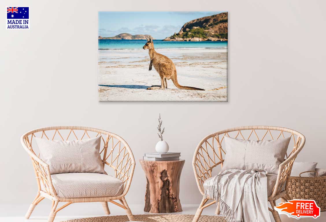 Kangaroo at Lucky Bay in Cape Range Park Photograph Print 100% Australian Made