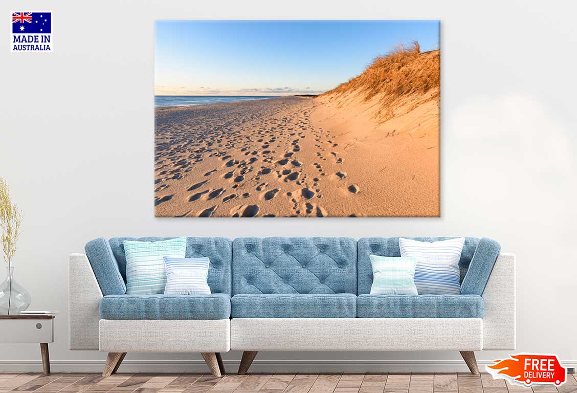 Sand Dunes at Cape Cod National View Photograph Print 100% Australian Made