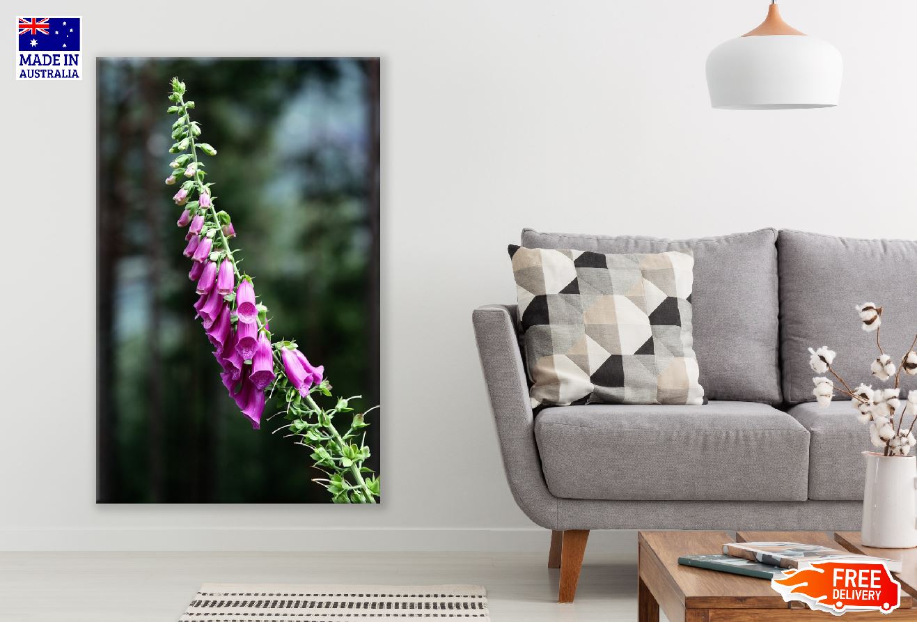 Foxglove Flower Closeup Photograph Print 100% Australian Made