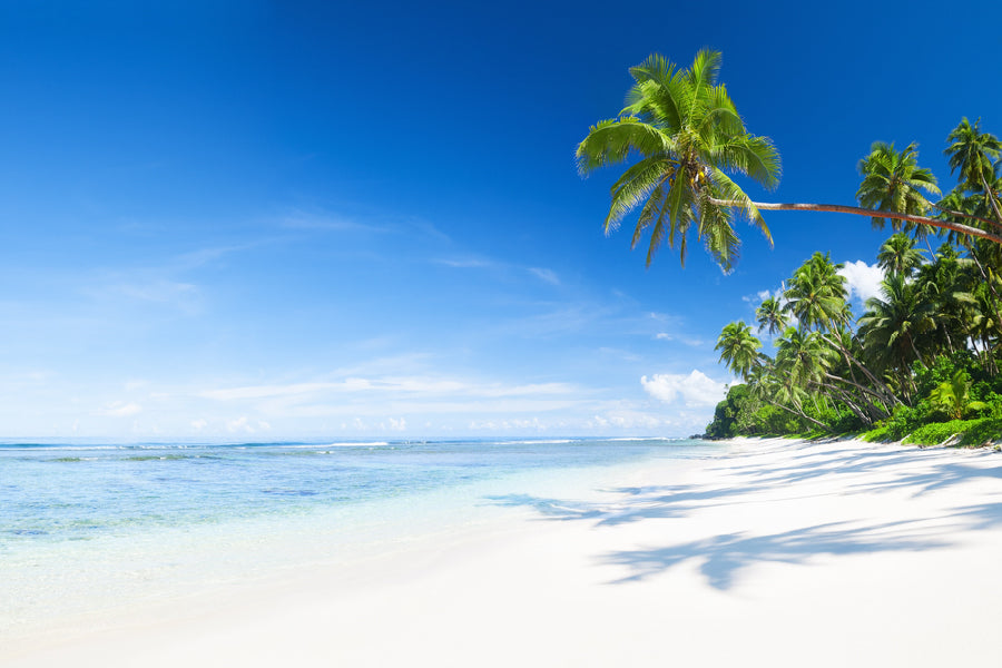 Tropical Beach with Blue Sky View Photograph Print 100% Australian Made