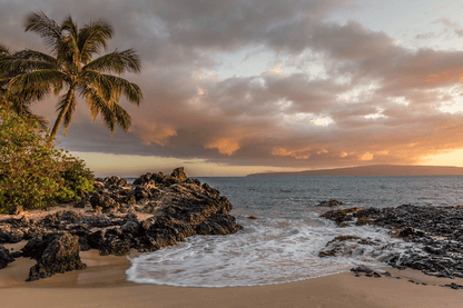 Palm Tree & Beach Sunset Scenery Photograph Print 100% Australian Made